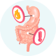 ilustração estomago e intestino